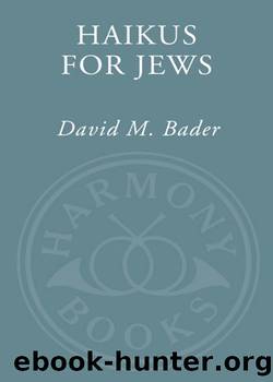Haikus for Jews by David M. Bader
