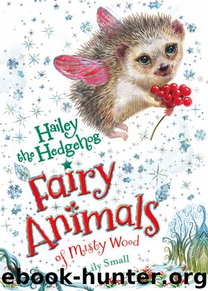 Hailey the Hedgehog by Lily Small