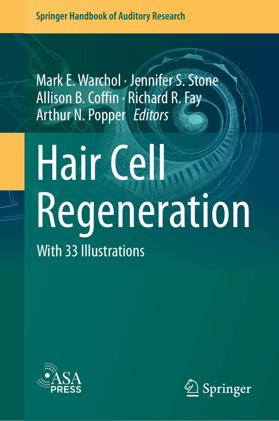 Hair Cell Regeneration by Mark E. Warchol Jennifer S. Stone Allison B. Coffin Arthur N. Popper Richard R. Fay