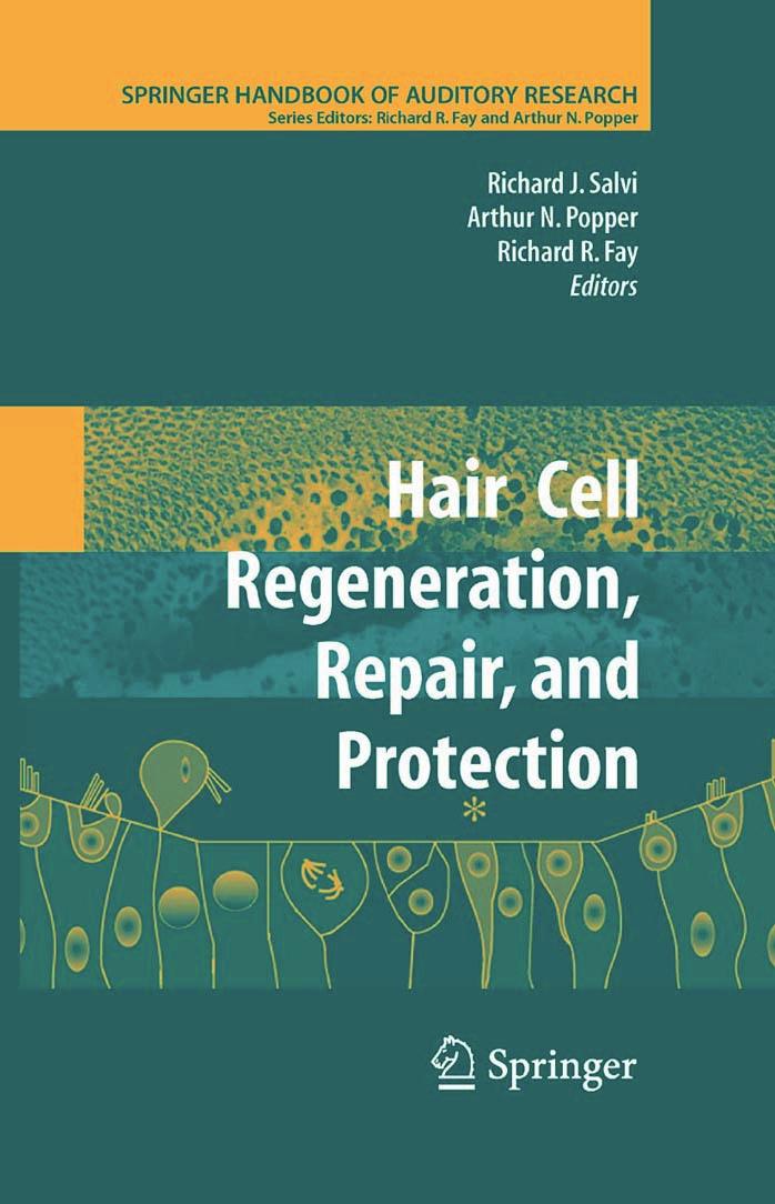 Hair Cell Regeneration, Repair, and Protection by Richard J. Salvi Richard R. Fay
