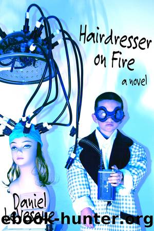 Hairdresser on Fire by Daniel LeVesque