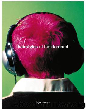 Hairstyles of the Damned by Joe Meno