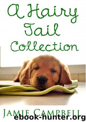Hairy Tail Collection by Campbell Jamie