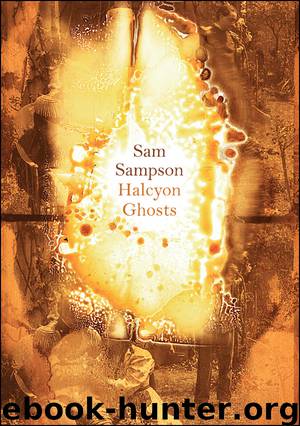 Halcyon Ghosts by Sam Sampson