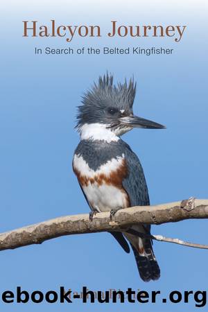 Halcyon Journey by In Search of the Belted Kingfisher