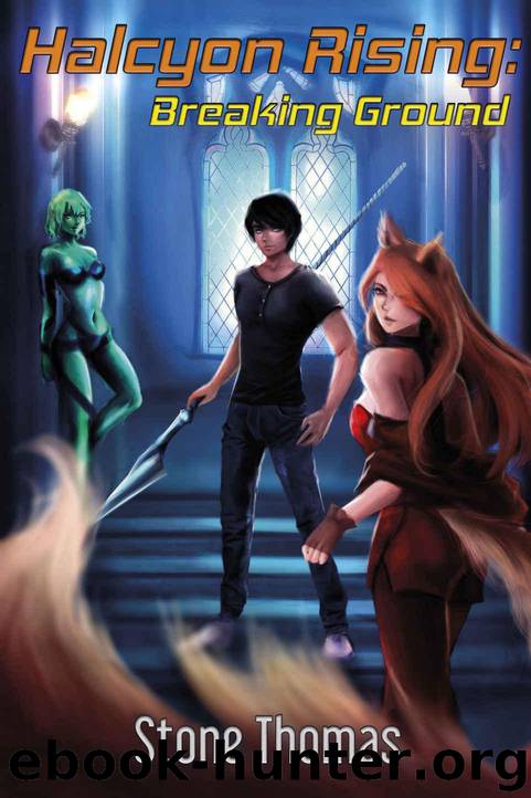 Halcyon Rising: Breaking Ground by Thomas Stone
