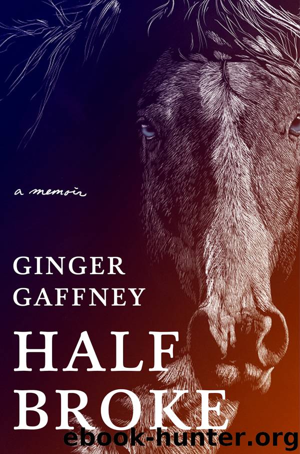 Half Broke by Ginger Gaffney