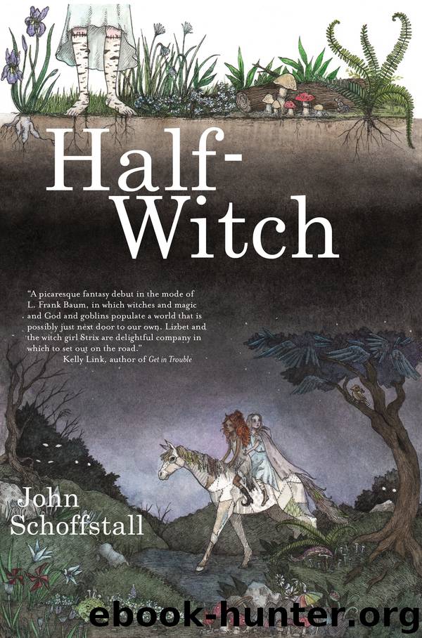 Half-Witch by John Schoffstall