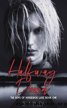 Halfway Down (The Boys of Horseshoe Lake Book 1) by B. Ripley