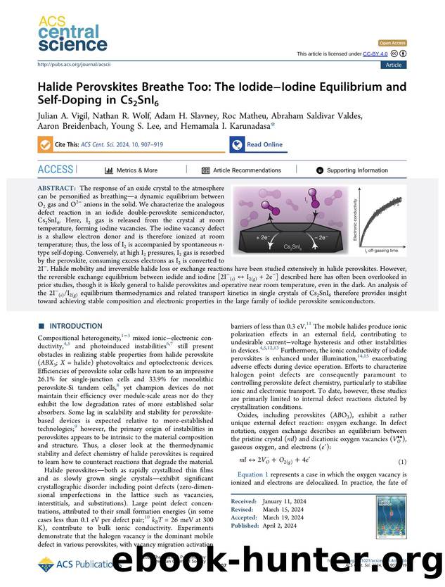 Halide Perovskites Breathe Too: The IodideâIodine Equilibrium and Self-Doping in Cs2SnI6 by unknow