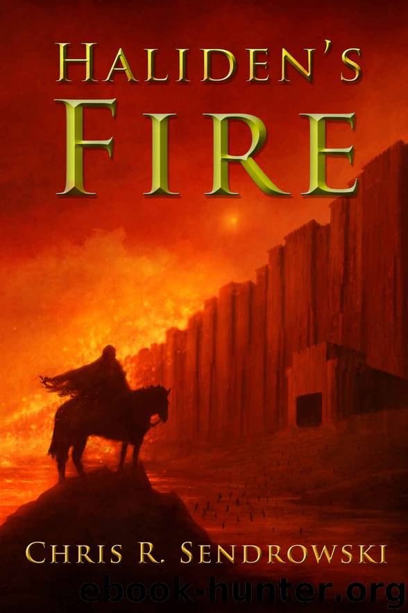Haliden's Fire: A fantasy novel by Chris Sendrowski