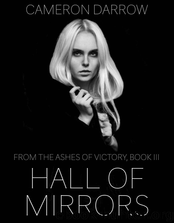 Hall of Mirrors by Cameron Darrow