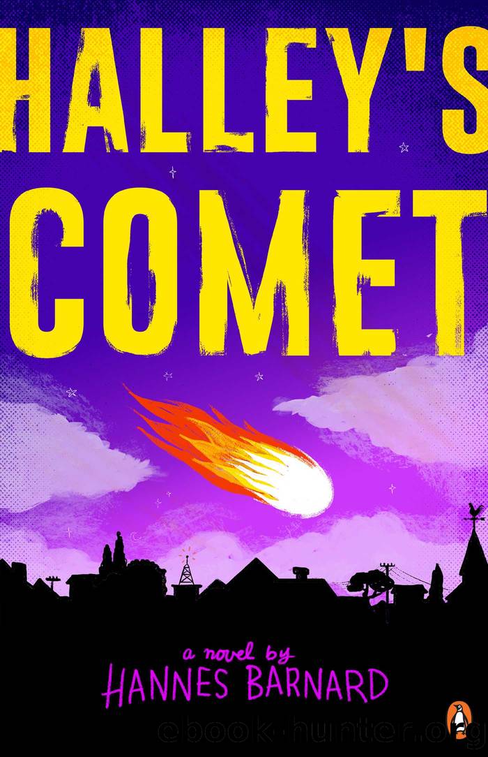 Halley's Comet by Hannes Barnard