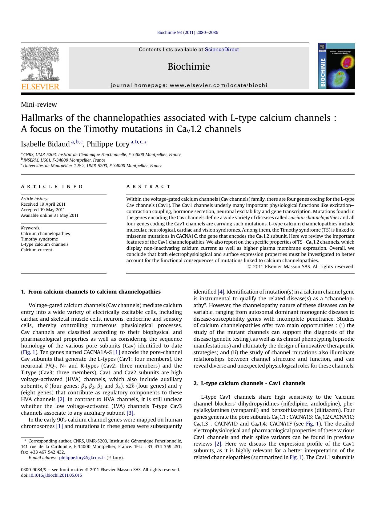 Hallmarks of the channelopathies associated with L-type calcium channels : A focus on the Timothy mutations in Cav1.2 channels by Isabelle Bidaud & Philippe Lory