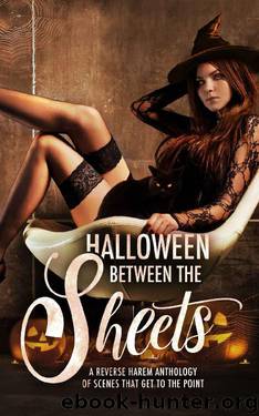 Halloween Between the Sheets: A Reverse Harem Anthology of Spooky Scenes that Get to the Point by unknow