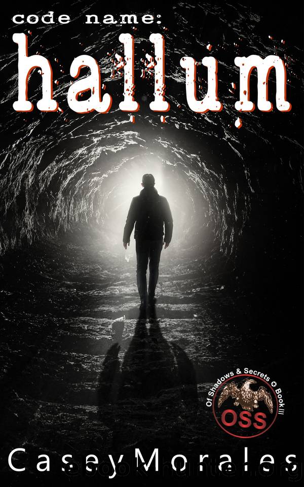 Hallum: A historical mm romance spy thriller (Of Shadows & Secrets Book 3) by Casey Morales