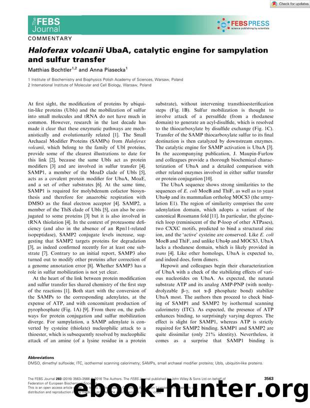 Haloferax volcanii UbaA, catalytic engine for sampylation and sulfur transfer by Unknown