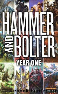 Hammer and Bolter Year One by Christian Dunn