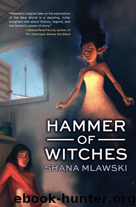 Hammer of Witches by Shana Mlawski
