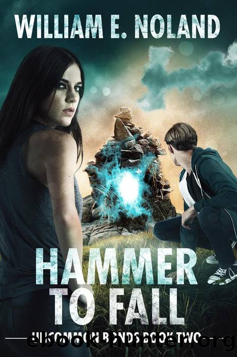 Hammer to Fall by William E. Noland