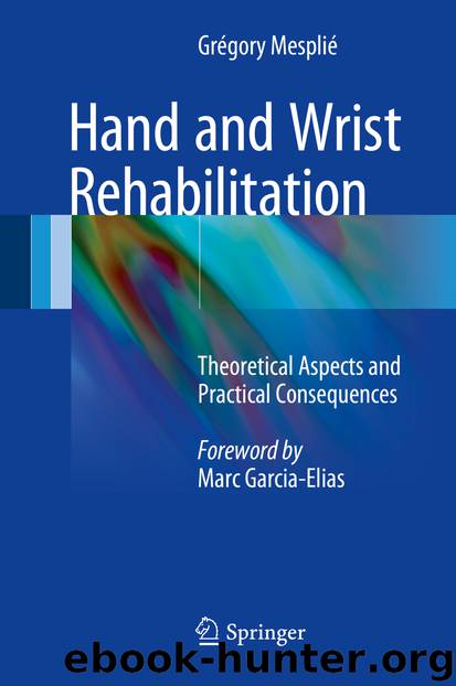 Hand and Wrist Rehabilitation by Grégory Mesplié