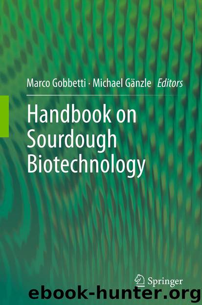 Handbook on Sourdough Biotechnology by Marco Gobbetti & Michael Gänzle