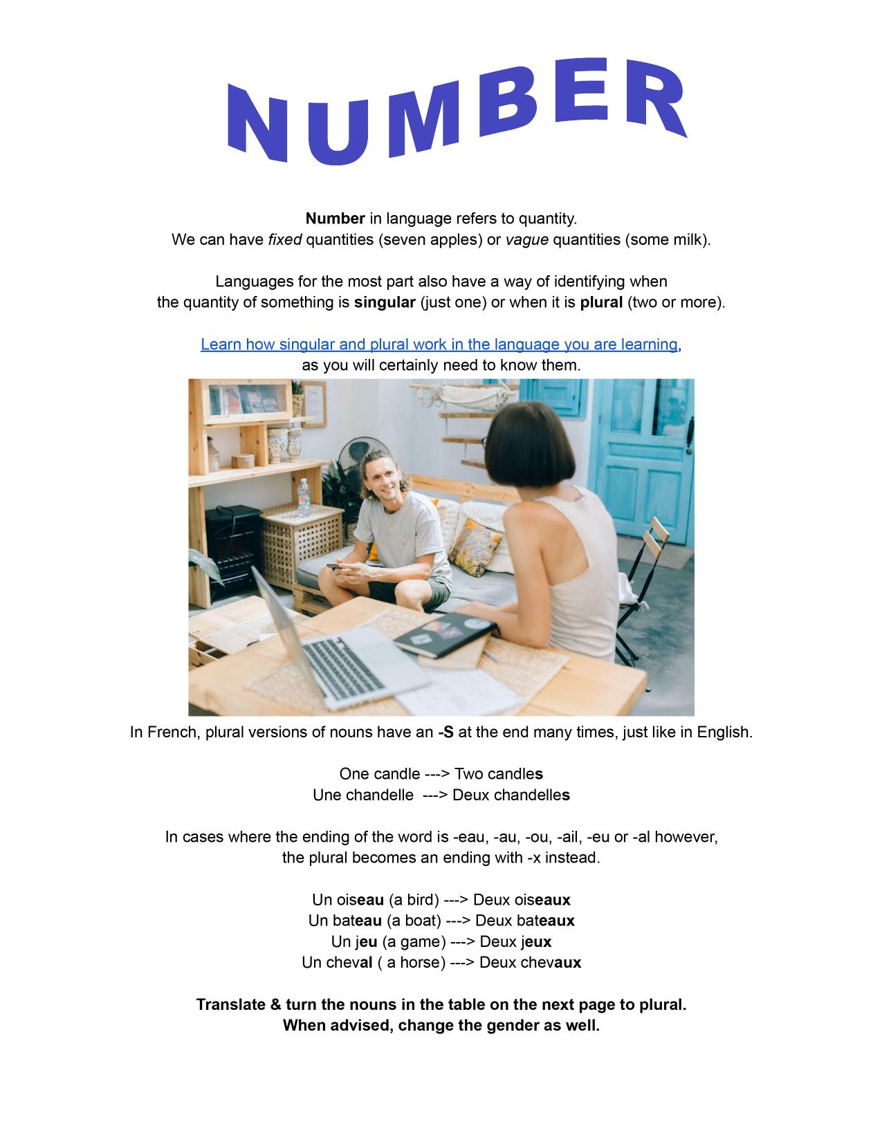 Handout. Gender and Number by Unknown