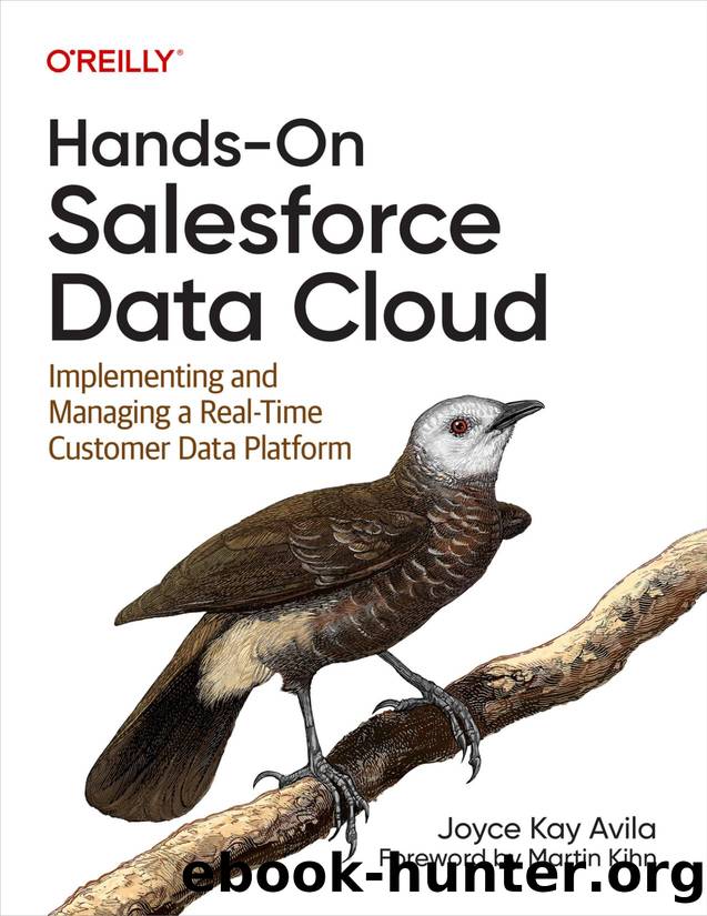 Hands-On Salesforce Data Cloud (for True Epub) by Joyce Kay Avila