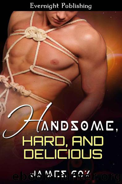 Handsome, Hard, and Delicious (Handsome Heroes) by James Cox