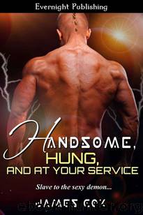 Handsome, Hung, and at Your Service (Handsome Heroes Book 8) by James Cox