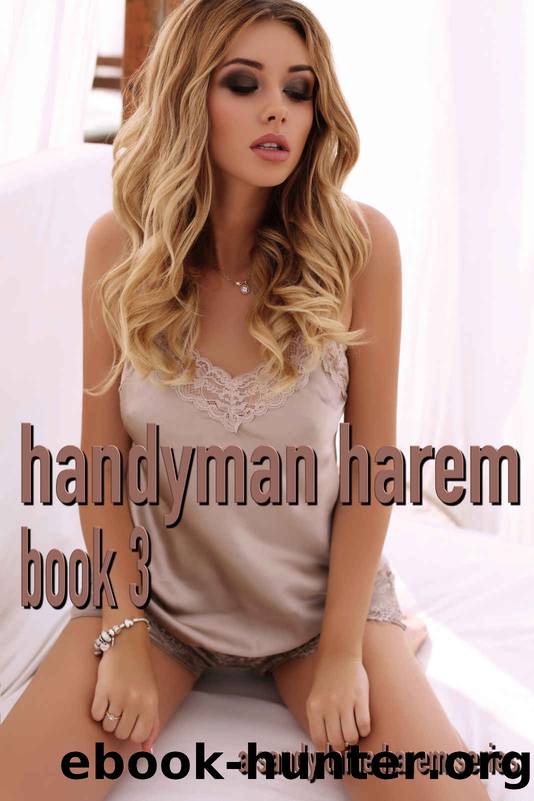 Handyman Harem Book 3: A MFFF harem series by Sandy Laine