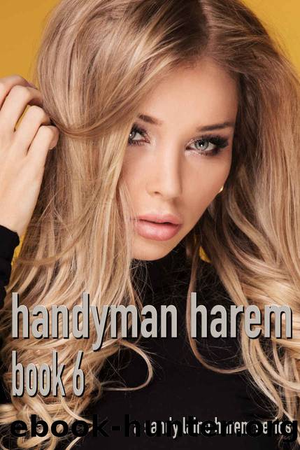 Handyman Harem Book 6: A MFFF harem series by Sandy Laine