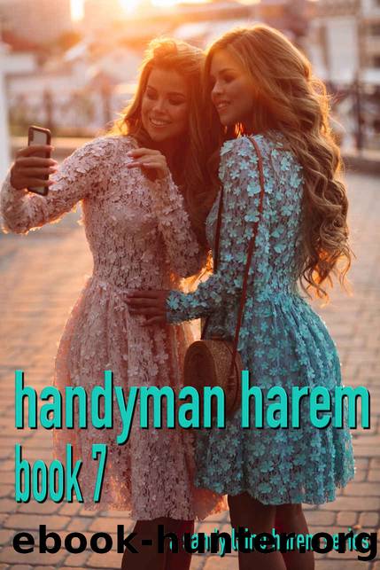 Handyman Harem Book 7: A MFFF harem series by Sandy Laine