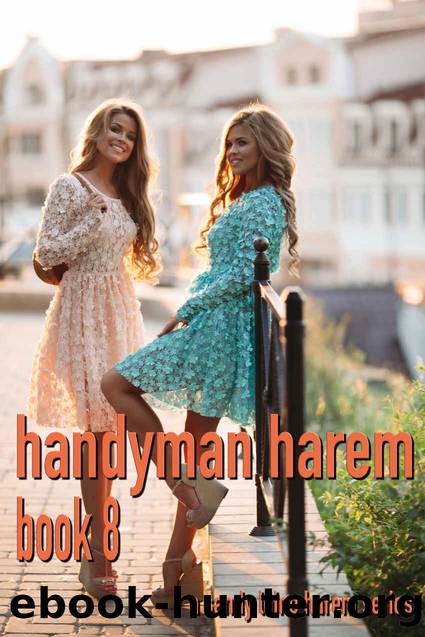 Handyman Harem Book 8: A MFFF harem series (Handyman: A harem series) by Sandy Laine