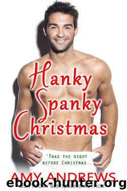 Hanky Spanky Christmas by Amy Andrews