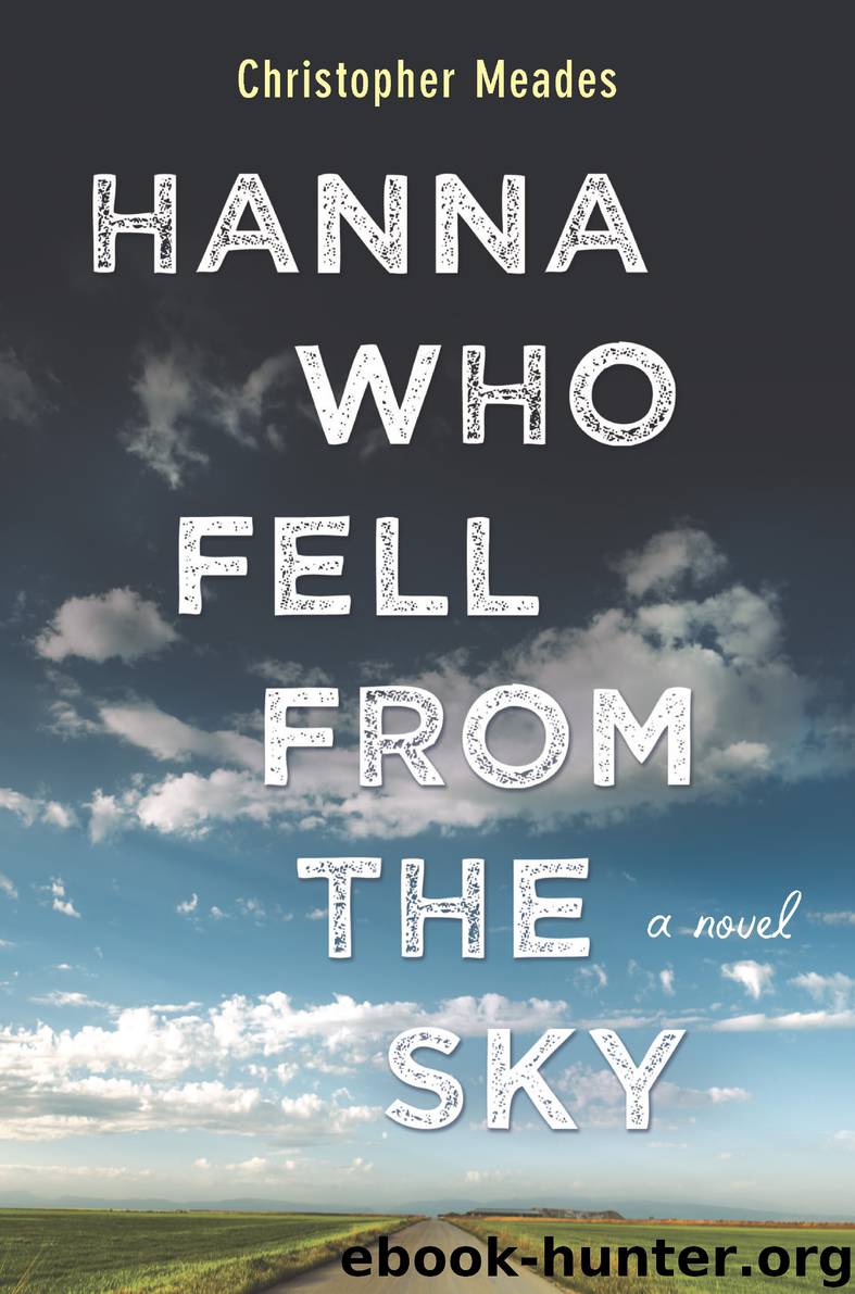 Hanna Who Fell from the Sky by Christopher Meades
