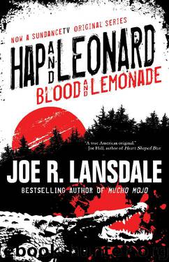 Hap and Leonard by Joe R. Lansdale