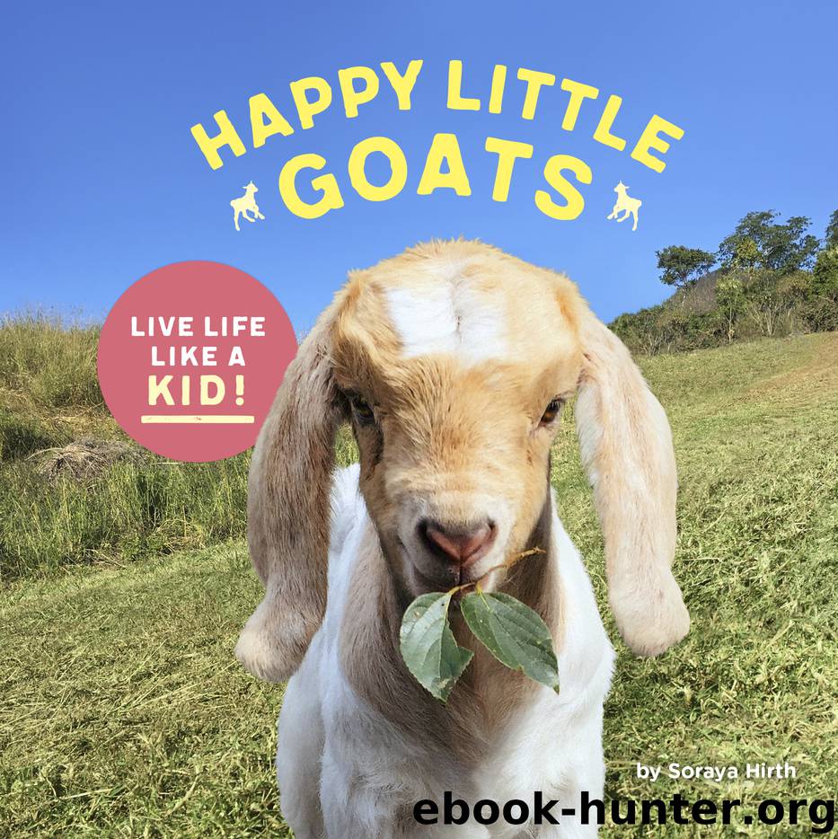 Happy Little Goats by Soraya Hirth