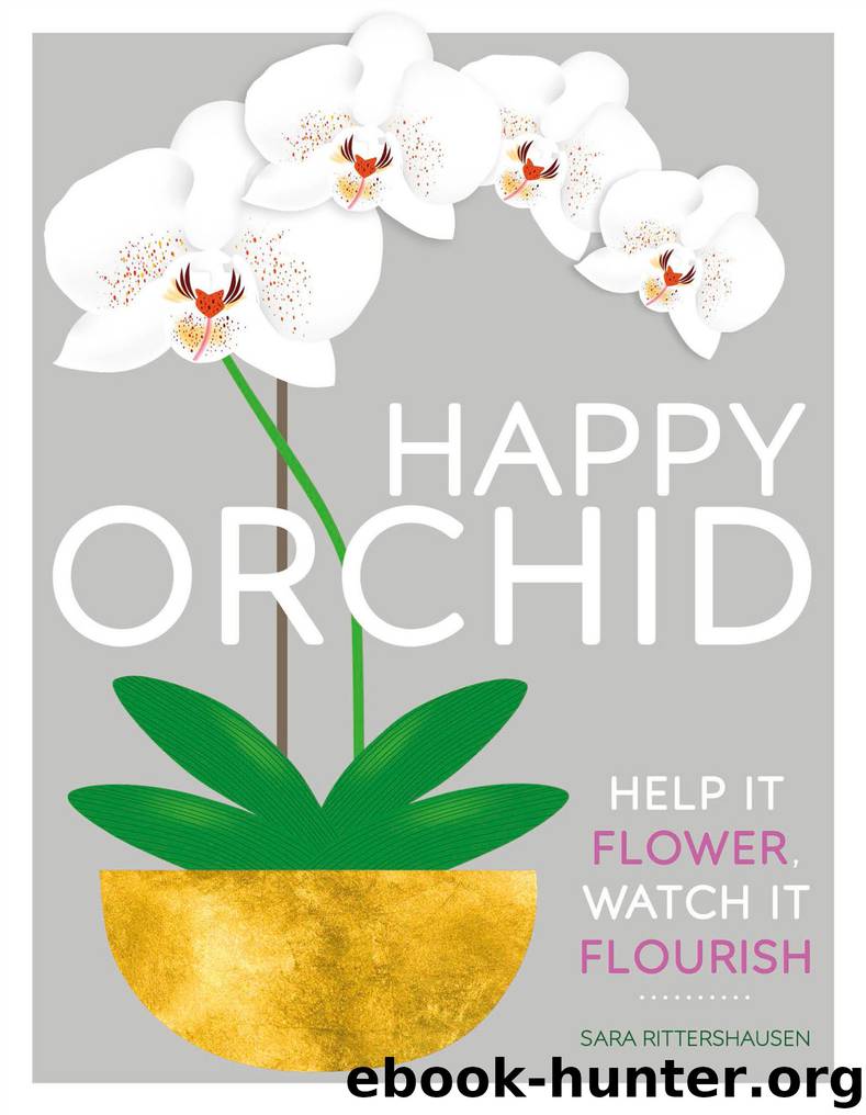 Happy Orchid by Sara Rittershausen