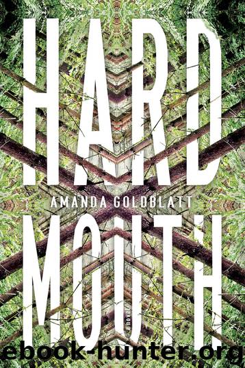 Hard Mouth by Amanda Goldblatt