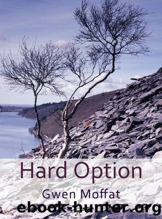 Hard Option by Gwen Moffat