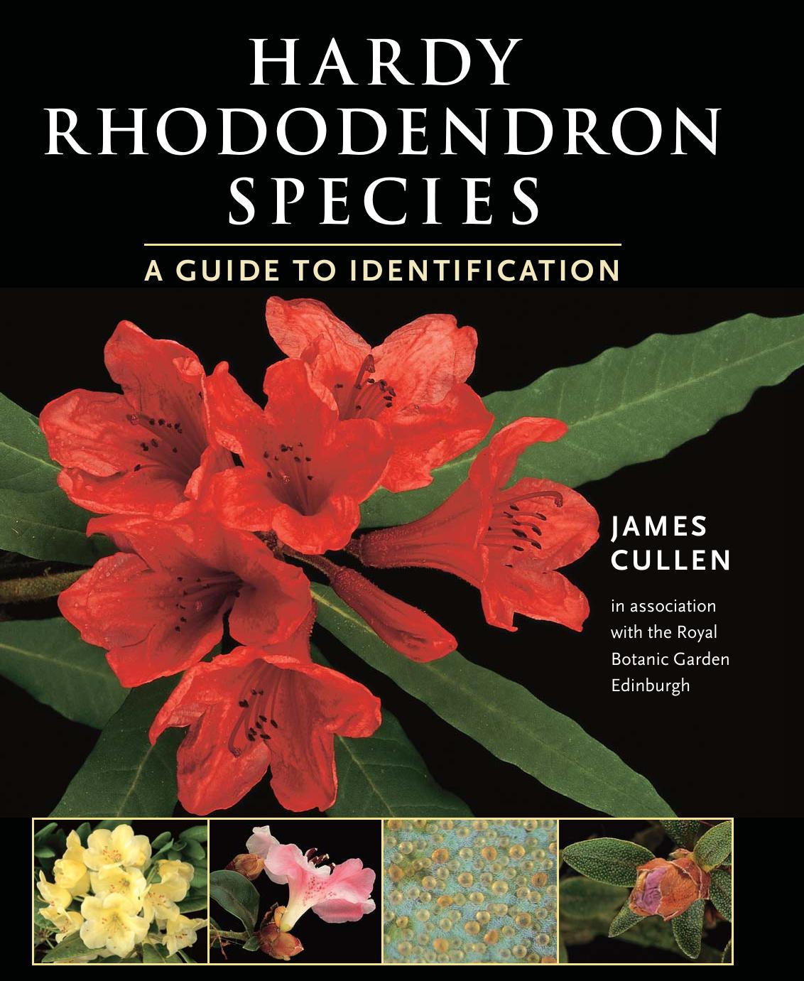 Hardy Rhododendron Species: A Guide to Identification by J. Cullen