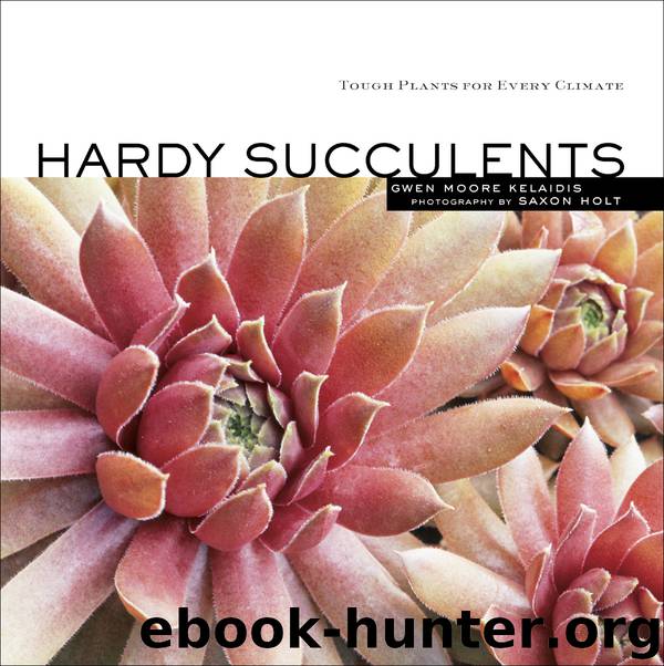 Hardy Succulents by Saxon Holt & Saxon Holt