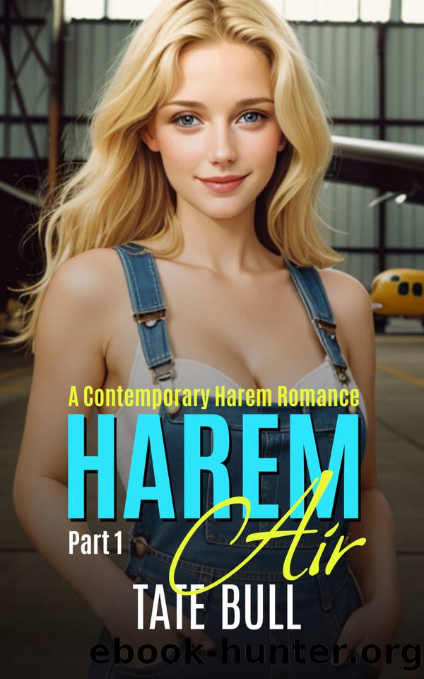 Harem Air (part 1): A Contemporary Harem Romance by Bull Tate