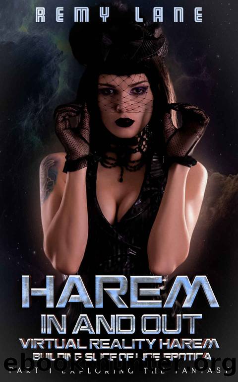 Harem In and Out: Virtual Reality Harem Building Slice of Life Erotica: Part 1: Exploring the Fantasy by Remy Lane