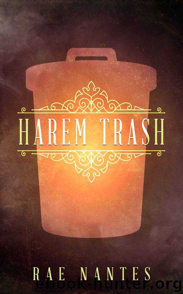 Harem Trash by Rae Nantes