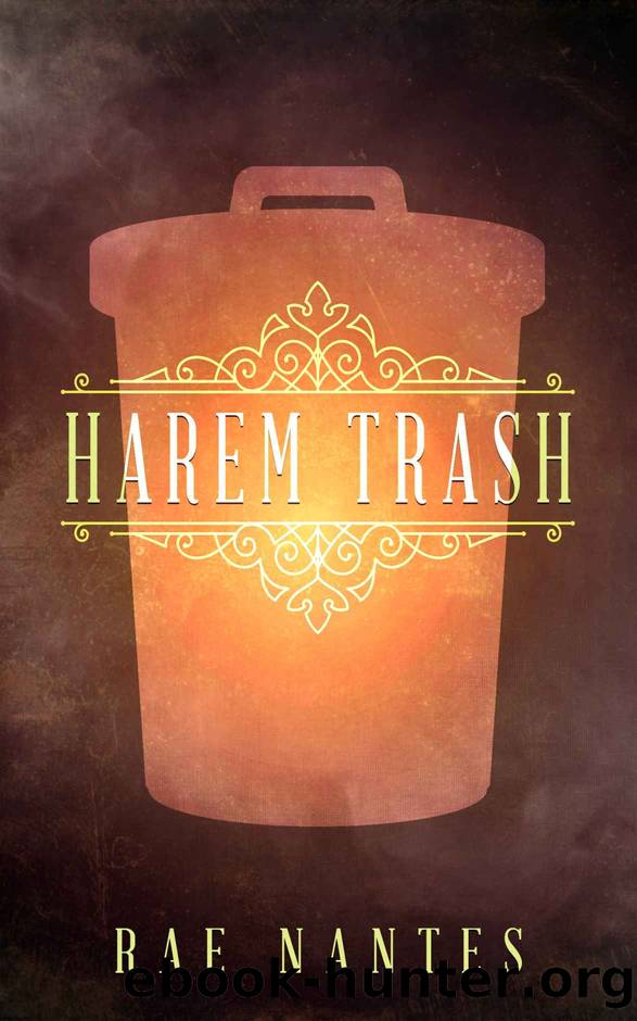 Harem Trash: A litRPG Satire by Rae Nantes