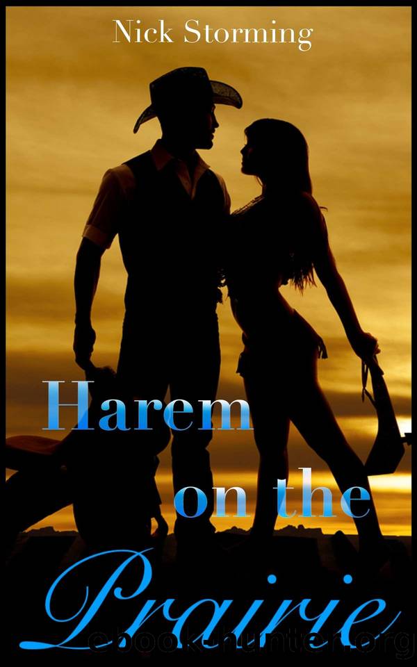 Harem on the Prairie 1 by Nick Storming