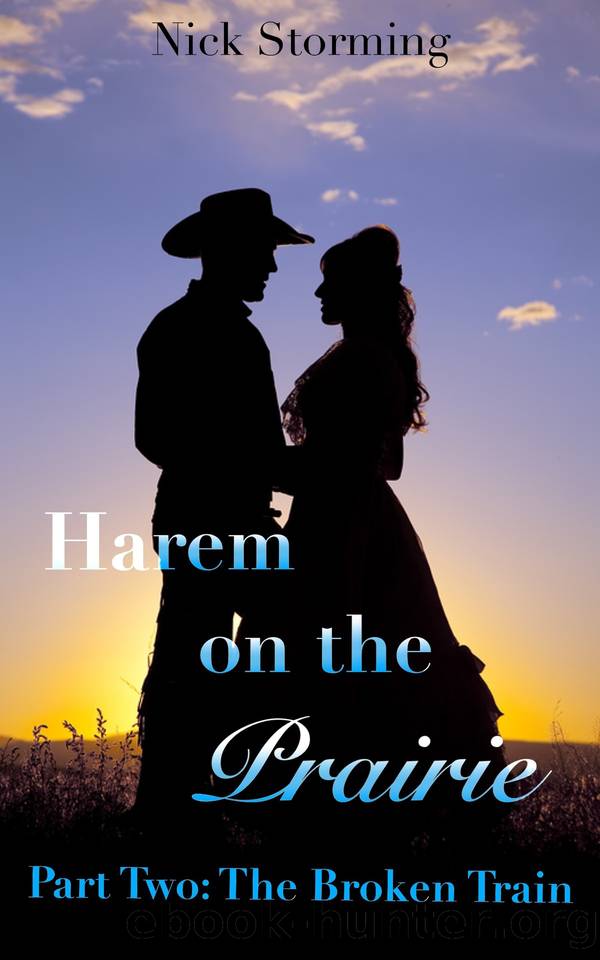 Harem on the Prairie: Part Two: The Broken Trail by Nick Storming