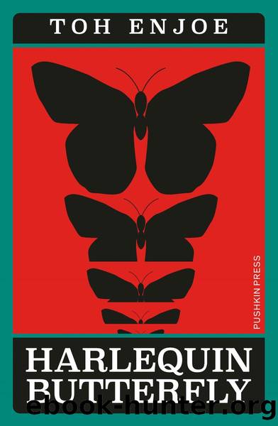 Harlequin Butterfly by Toh EnJoe and David Boyd